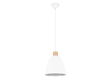 TRIO LIGHTING FOR YOU R30681031 JAGGER, Függeszték