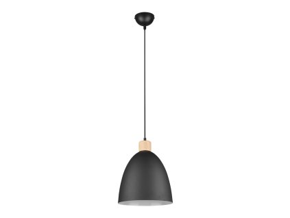 TRIO LIGHTING FOR YOU R30681032 JAGGER, Függeszték