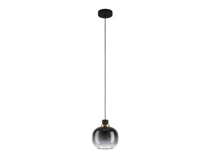 EGLO 99616 Függeszték OILELLA