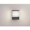 Massive-Philips Raccoon wall lantern antracit 1x3W SELV- 17274/93/16