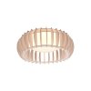 TRIO LIGHTING FOR YOU R62171130 MONTE, Mennyezeti lámpa