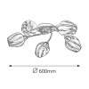 Rábalux 2970 Danila ceiling lamp, 5*E27, 60W