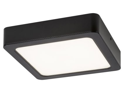 Rábalux 71202 Shaun2 Stropné svietidlo