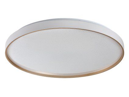 71453 vnútorná LED stropná lampa