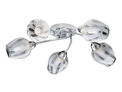 Rábalux 2970 Danila ceiling lamp 5*E27, 60W