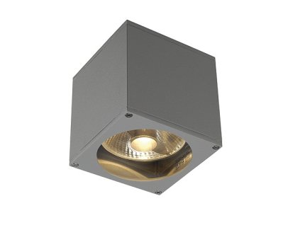 SLV Technik LI229564  BIG THEO, Vonkajšie nástenné svietidlo