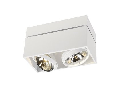 Schrack Technik LI117131 KARDAMOD stropné svietidlo