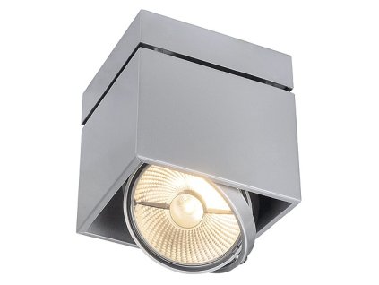 Schrack Technik  KARDAMOD SURFACE SINGLE ES111, strieborné- LI117104