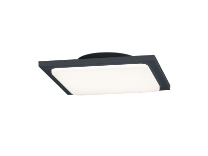 TRIO LIGHTING FOR YOU 620160142 TRAVE, Stropné svietidlo