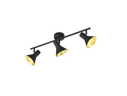 TRIO LIGHTING FOR YOU R80163002 NINA, Spot