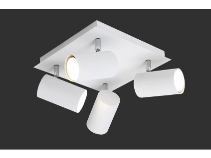 TRIO LIGHTING FOR YOU 802430401 MARLEY, Spot