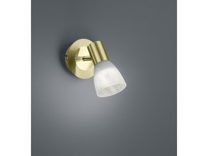 TRIO LIGHTING FOR YOU 871010108 LEVISTO, Spot