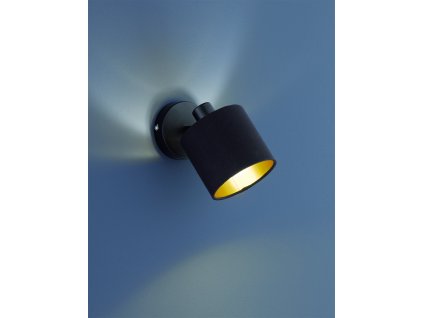 TRIO LIGHTING FOR YOU R80331079 TOMMY, Spot