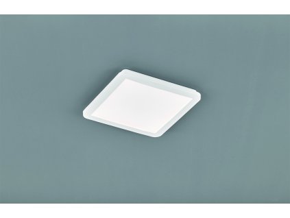TRIO LIGHTING FOR YOU R62931801 CAMILLUS, Stropné svietidlo