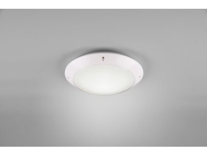 TRIO LIGHTING FOR YOU R60501031 Camaro Vonkajšie stropné svietidlo