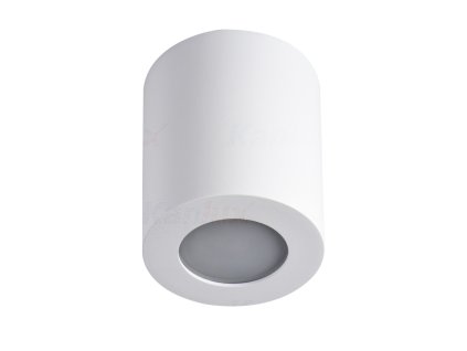Kanlux 29241 SANI IP44 DSO-W Prisadené stropné svietidlo