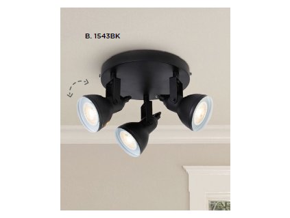 Searchlight 1543BK FOCUS, Spot stropný
