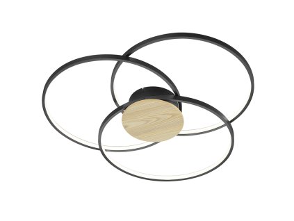 TRIO LIGHTING FOR YOU 673210332 SEDONA, Stropné svietidlo