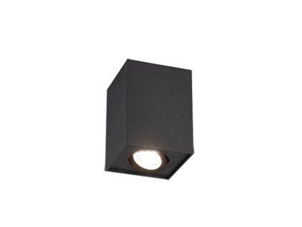 TRIO LIGHTING FOR YOU 613000132 BISCUIT, Stropné svietidlo