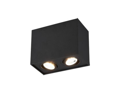 TRIO LIGHTING FOR YOU 613000232 BISCUIT, Stropné svietidlo