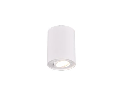 TRIO LIGHTING FOR YOU 612900131 COOKIE, Stropné svietidlo