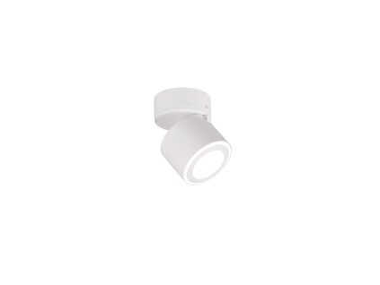 TRIO LIGHTING FOR YOU 652910131 TAURUS, Spot