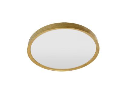 LED-POL ORO26021 OLMO stropné svietidlo