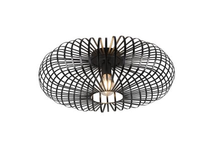 TRIO LIGHTING FOR YOU 606905032 JOHANN, Stropné svietidlo