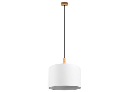 TRIO LIGHTING FOR YOU 301200101 KORBA, Závesné svietidlo