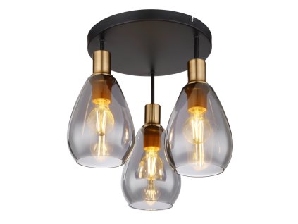 GLOBO – lighting Globo 15563-3d Fanni Stropné svietidlo