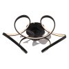 loris 03638 g28999 (2)