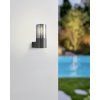 902441 ambient