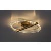 71464 vnútorná LED stropná lampa