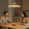 72411 vnútorné LED závesné svietidlo
