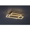 71475 vnútorná LED stropná lampa