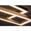 71475 vnútorná LED stropná lampa