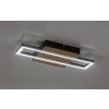 71455 vnútorná LED stropná lampa