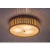 71420 vnútorná stropná lampa