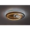 71466 vnútorná LED stropná lampa