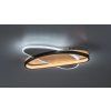 71469 vnútorná LED stropná lampa
