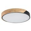 71416 vnútorná LED stropná lampa