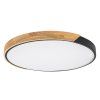 71418 vnútorná LED stropná lampa