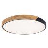71418 vnútorná LED stropná lampa