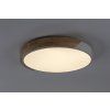 71419 vnútorná LED stropná lampa