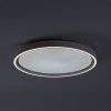 75086 vnútorná LED stropná lampa