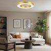 71363 vnútorná LED stropná lampa