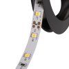 46309 LEDS-B4,8W/M12IP00-NW