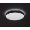 71452 vnútorná LED stropná lampa