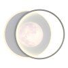 moon 41785