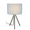 Schrack Technik LI155542  FENDA Table lamp, E27, without screen, chrome